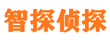 碾子山市私家侦探